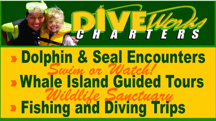Diveworks Charters - Whale Island Tours - logo
