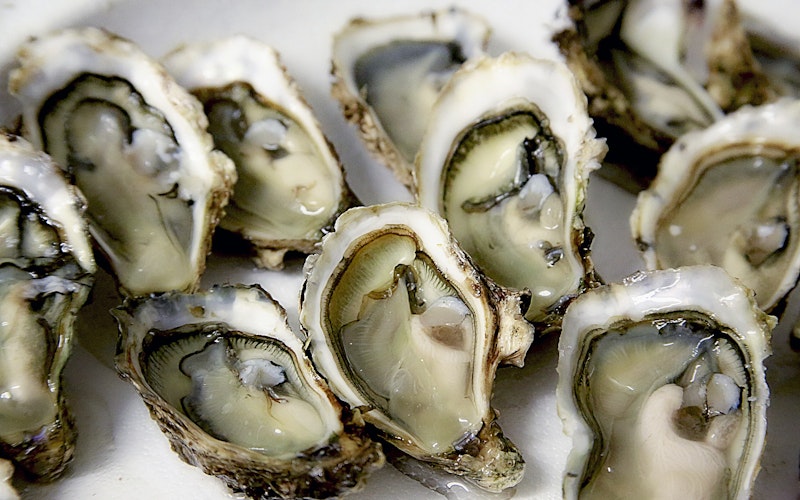 Sumptious Oysters