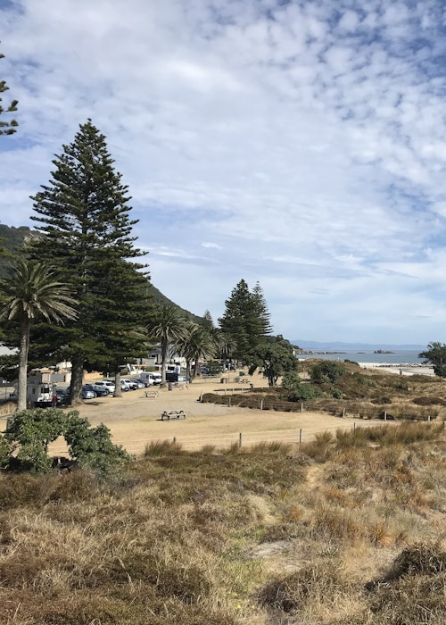 4hr Tauranga Scenic History and Tasting Tour