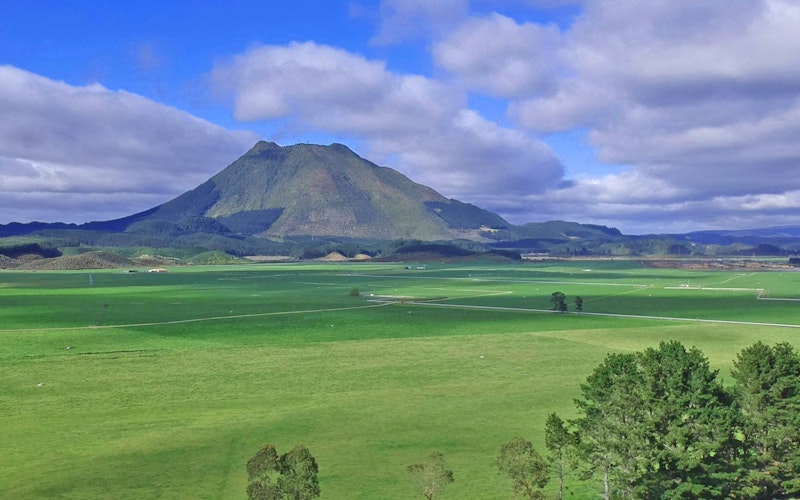 The majestic Putauaki maunga (mountain).