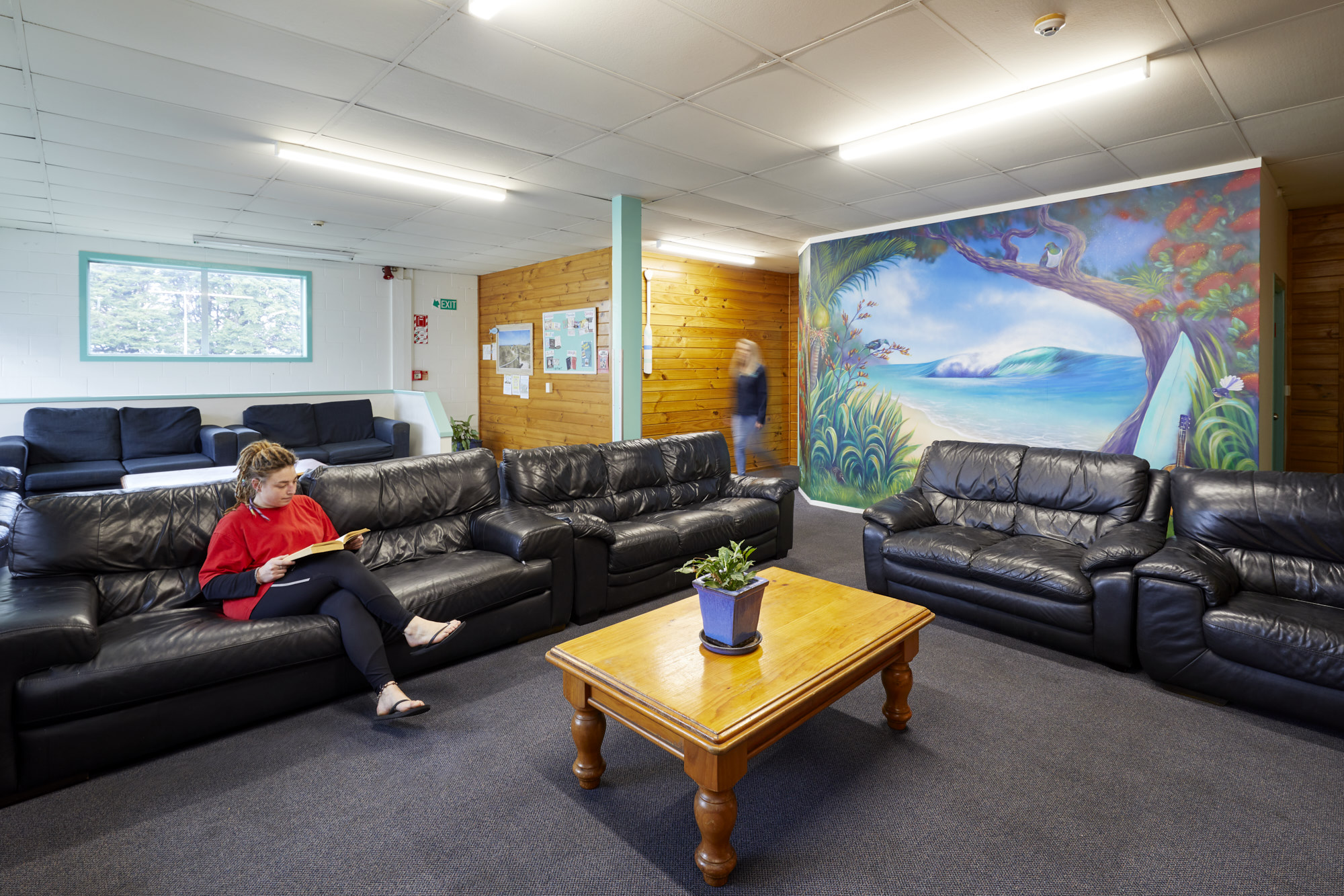 Hostels In Mount Maunganui | Pacific Coast |Bay Of Plenty