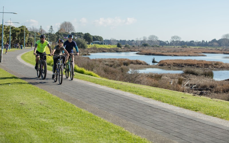 If you're keen for an easy cycling cruise, Warren Cole Walk and Cycleway along the Whakatane riverside is superb. One trail end is by the Whakatāne River bridge on Landing Road; the other is near the Whakatāne Heads. It's fully sealed/paved each way with some extensions currently underway. You'll be alongside the river the whole way. Near the Whakatāne River mouth, you can watch the Pacific Ocean swell rolling in. Upriver from here, the Whakatāne wharves usually have plenty going on, perfect if you're with kids. About midway on the track, the river has large areas of salt marsh. If you enjoy bird-watching, there are many species to spot.