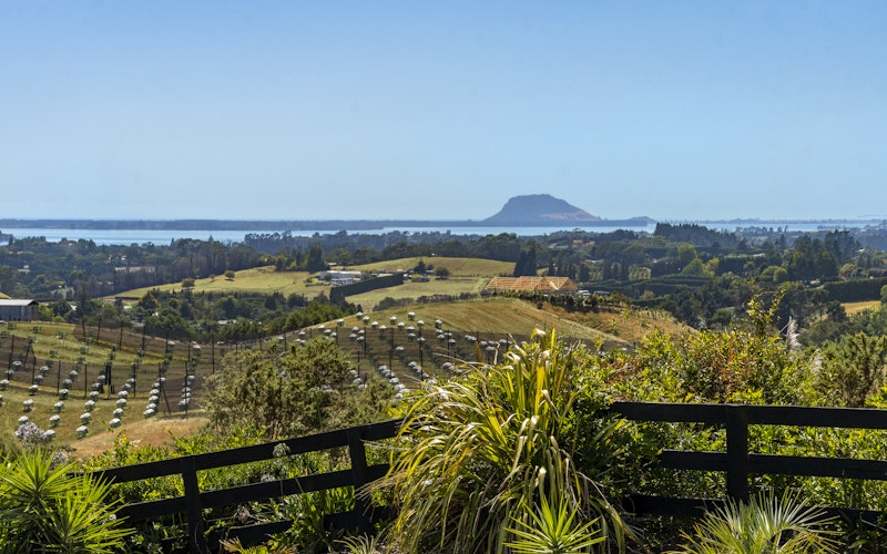 The views from the Black Badger across the bay to Mount Maunganui.