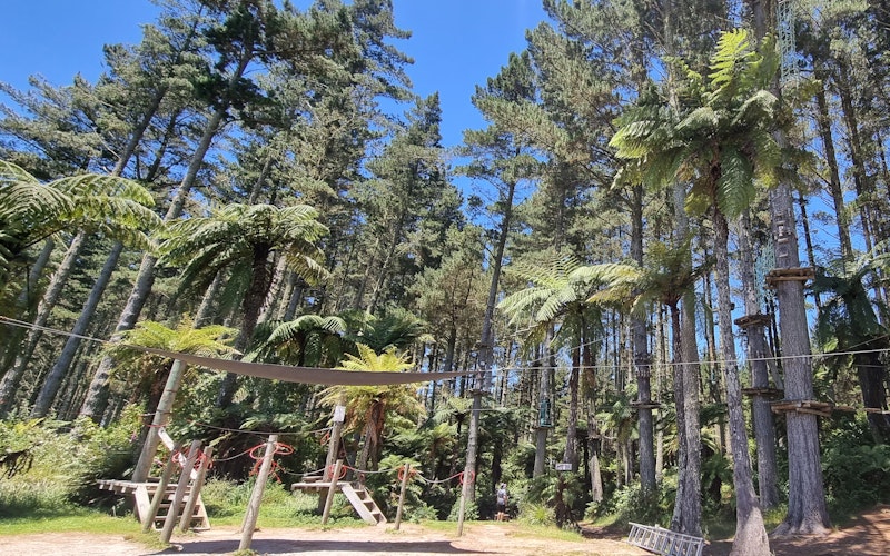 Sunniest park in New Zealand