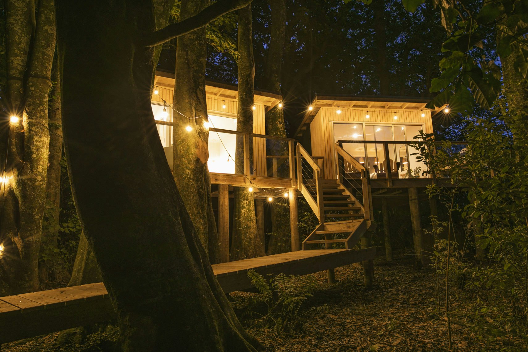 Escape to the Redwood Embrace: Baxter RV Campground Adventure