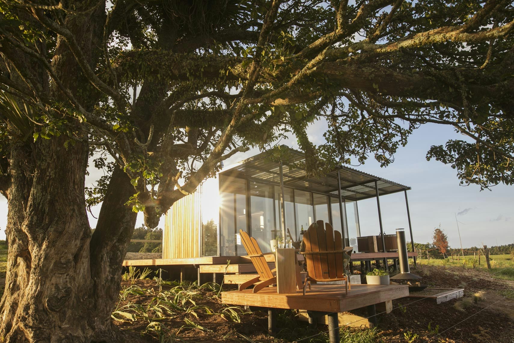 Escape to the Redwood Embrace: Your Guide to Northern California's Schoolhouse Campground