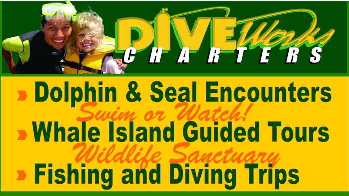 Diveworks Charters - Dolphin and Seal Encounters - logo