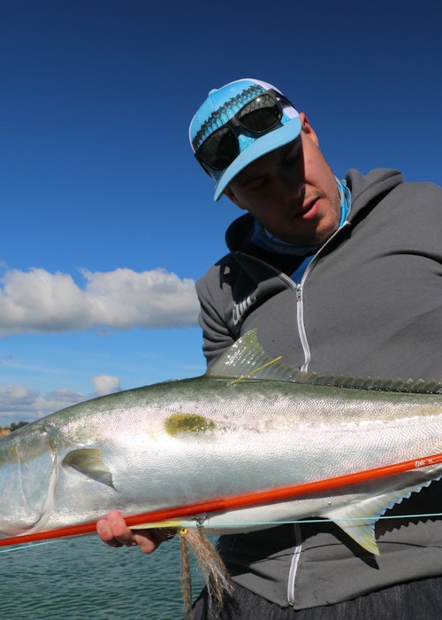 King Tide Salt Fly