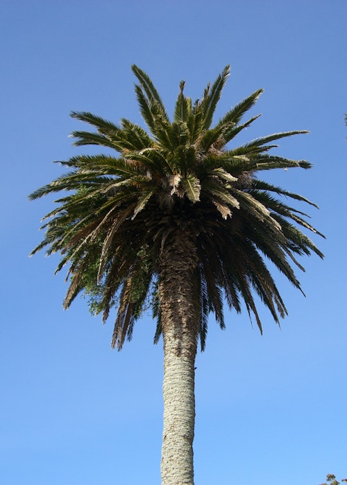 Opotiki Holiday Park