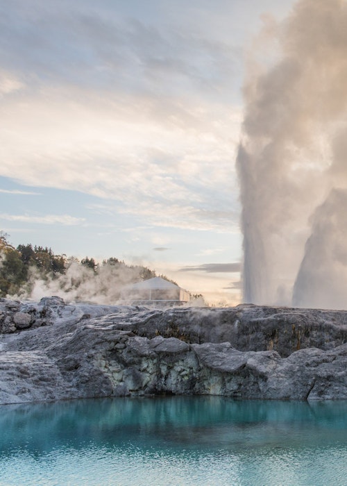 PRIVATE TOUR | From Tauranga | Explore 'Te Puia" Geothermal Wonderland | Rotorua