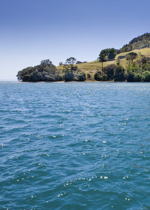 Kewpie Cruises - Scheduled One Hour Scenic Harbour Cruise