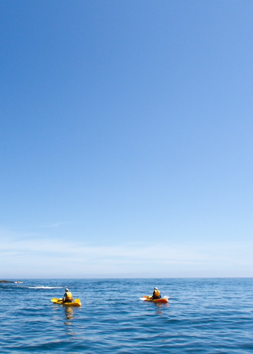 KG Kayaks Guided Tours
