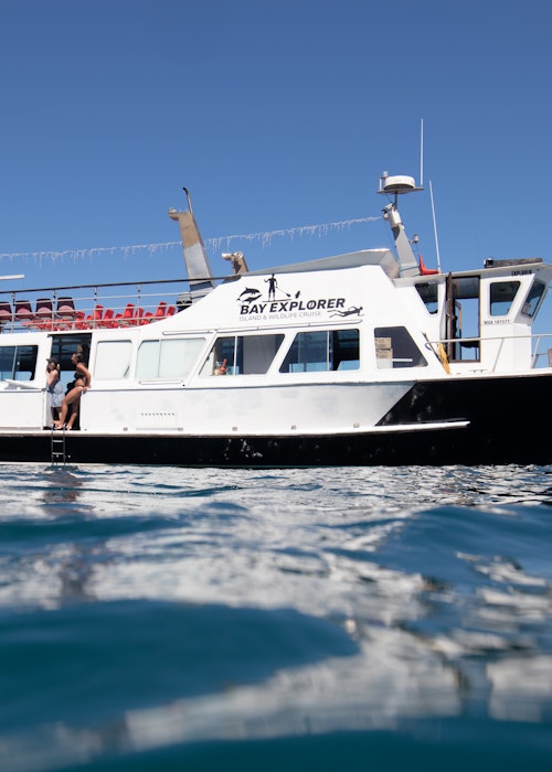 Bay Explorer - Island and Wildlife Cruise