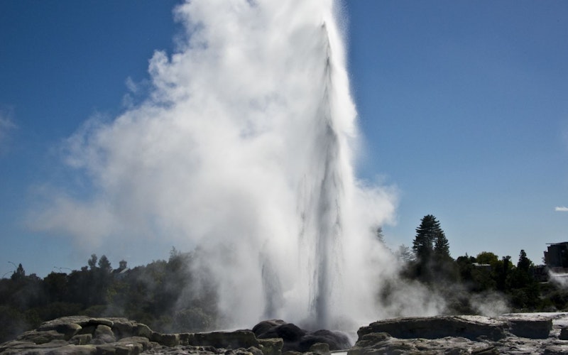 Geothermal tours to Rotorua with Cruise Tauranga