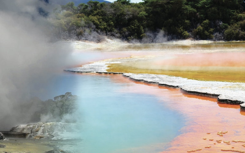 Wai-O-Tapu Geothermal Wonderland & Te Puia Geysers