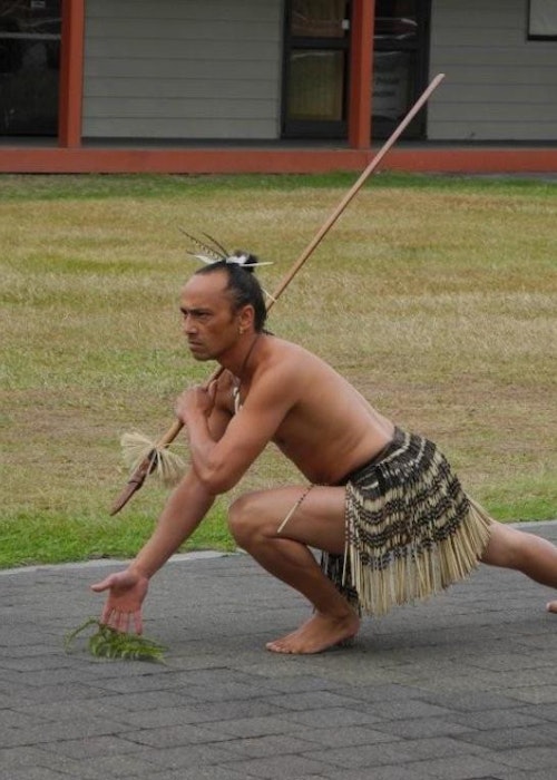 CruiseTauranga.Com