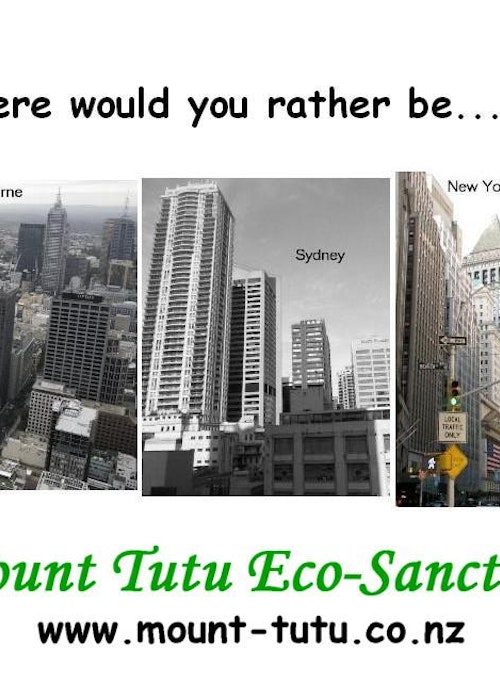 Mount Tutu Eco-Sanctuary