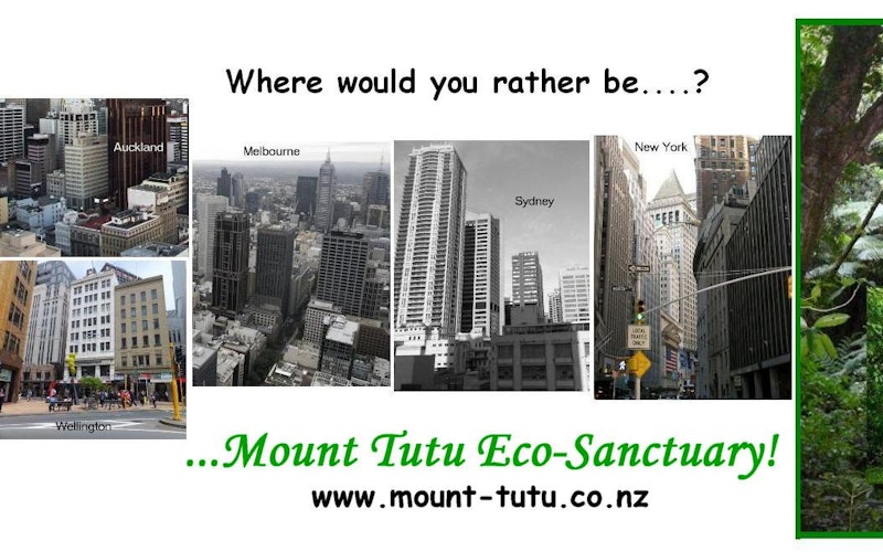 Where would you rather be....? Mount Tutu Eco-Sanctuary, Eco-Lodge, Nature Retreat!