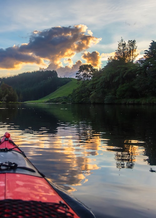 Evening Glow Worm Kayak Tour - Tauranga