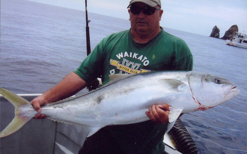Kingfish caught near White Island