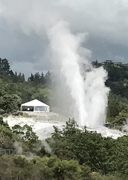 Corporate Tours Tauranga