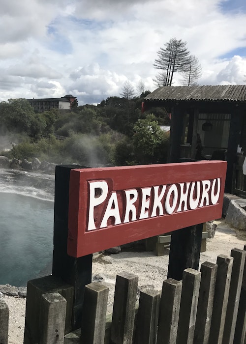 Corporate Tours Tauranga