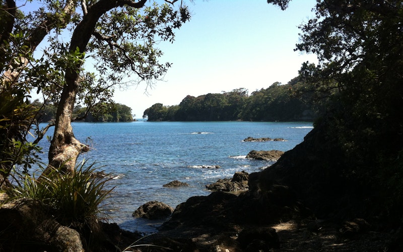 Wonderful Whanarua Bay.