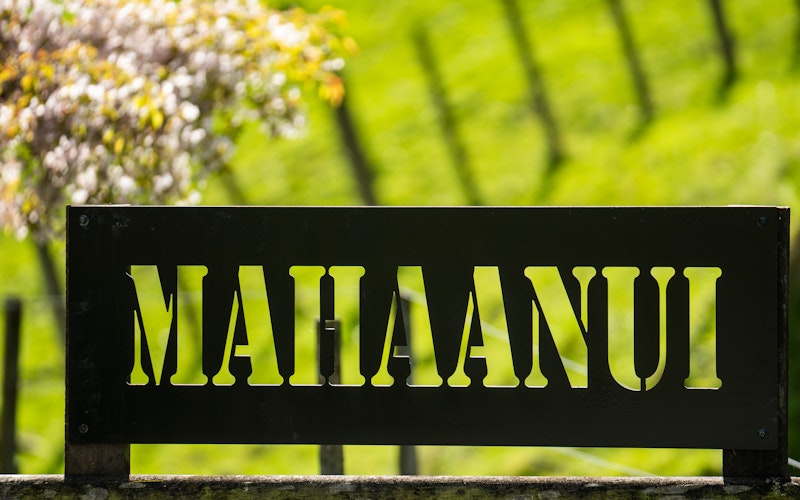 Mahaanui Farmstay Experience
